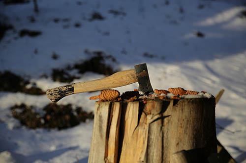 stump-grinding-south-lake-axe-on-a-tree