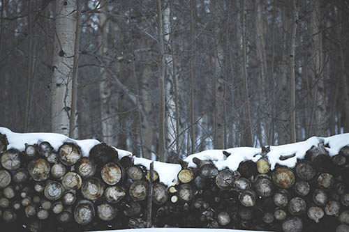 stump-grinding-south-lake-logs-in-snow